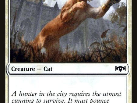 Prowling Caracal [Mystery Booster] Hot on Sale