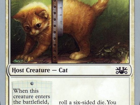 Adorable Kitten [Unsanctioned] Sale